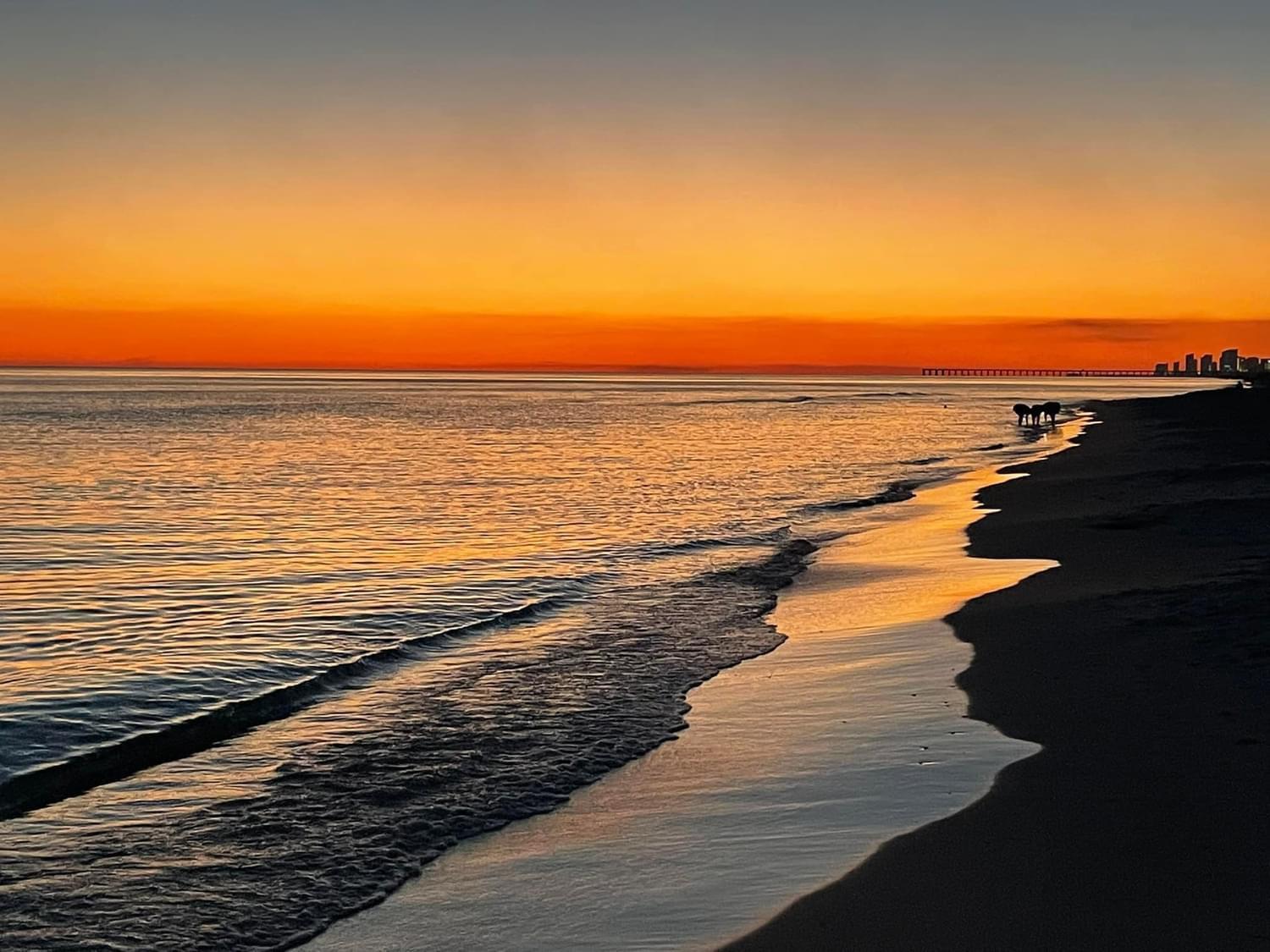 Apartment 1124 Ltw-other Listing Panama City Beach